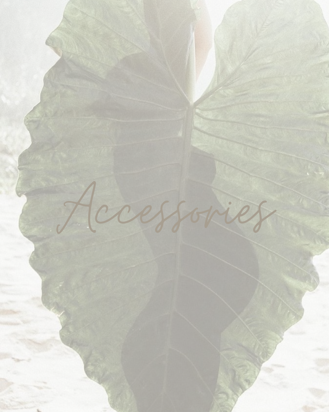 ACCESORIOS